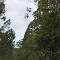 IMG-20181021-WA0134