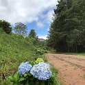IMG-20181021-WA0143