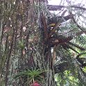 IMG-20181021-WA0172