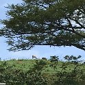 IMG-20181021-WA0185