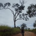 RIMG0216
