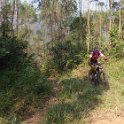 RIMG0377