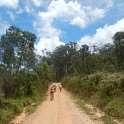 IMG-20191130-WA0034