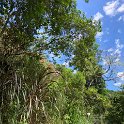 IMG-20191207-WA0096