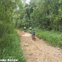 RIMG1342