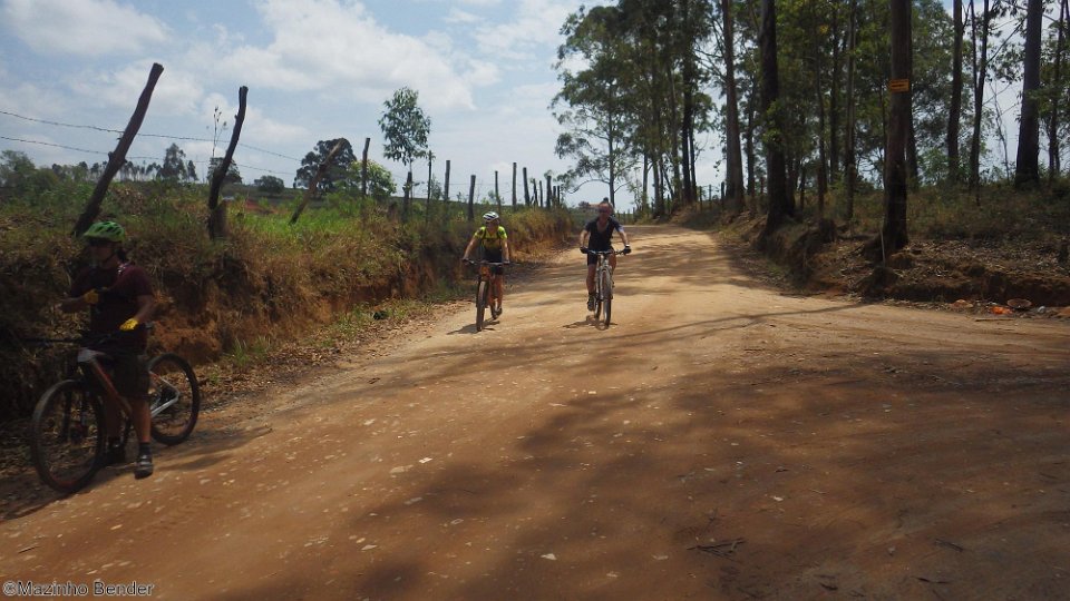 RIMG2013