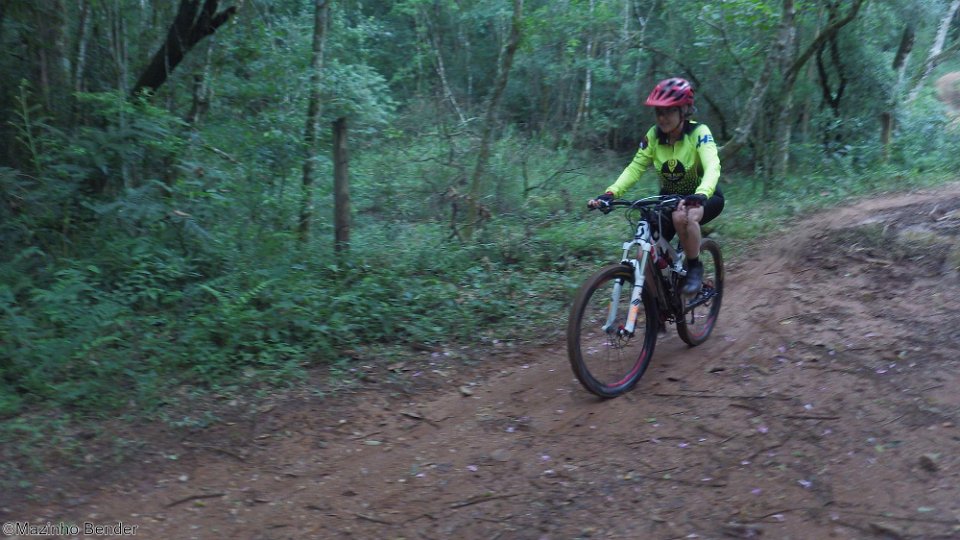 RIMG2292