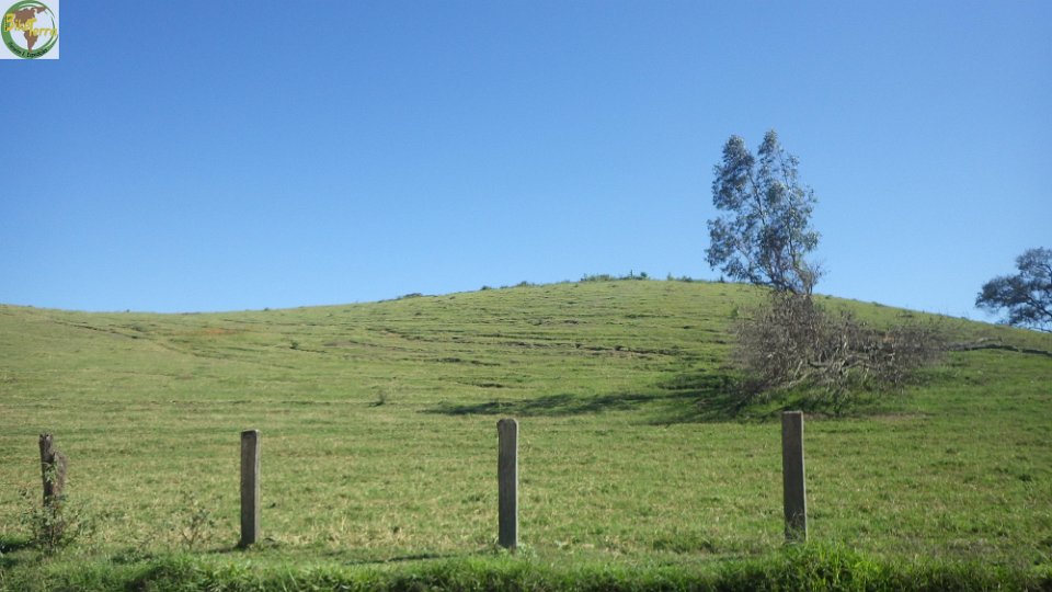 RIMG0214