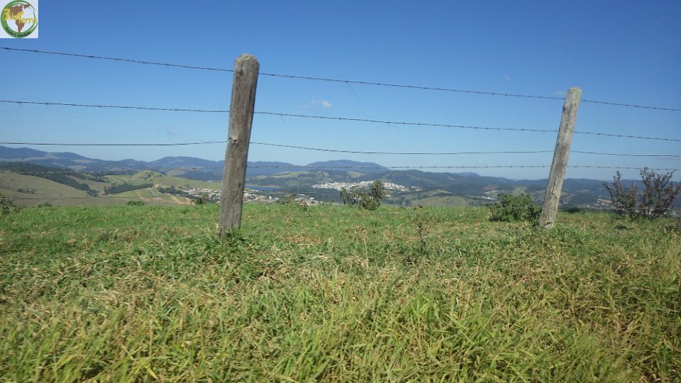 RIMG0255