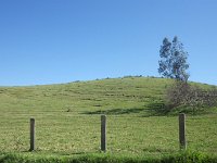 RIMG0214