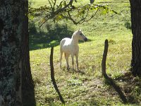 RIMG0228
