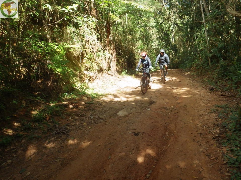 RIMG0284