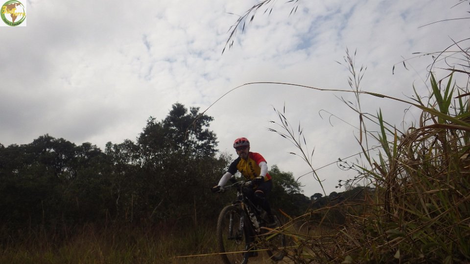 RIMG0336