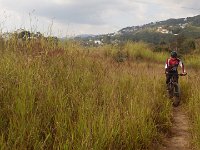 RIMG0354