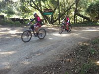 RIMG0664