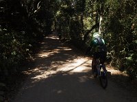 RIMG0738