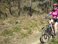 RIMG0881