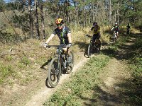 RIMG0882