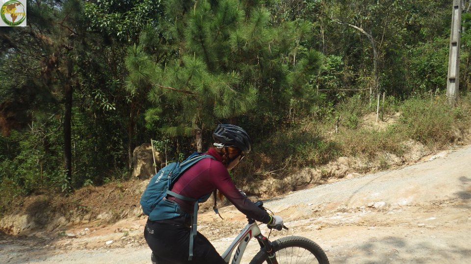 RIMG0930