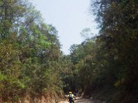 RIMG0936