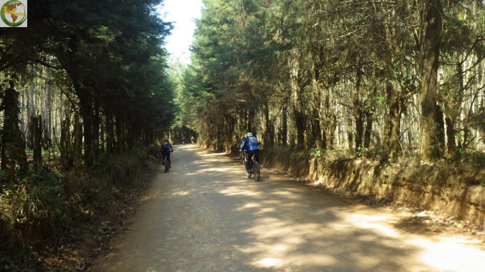 RIMG0966