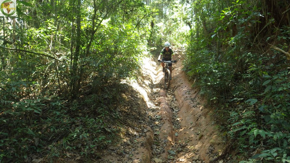 RIMG0970
