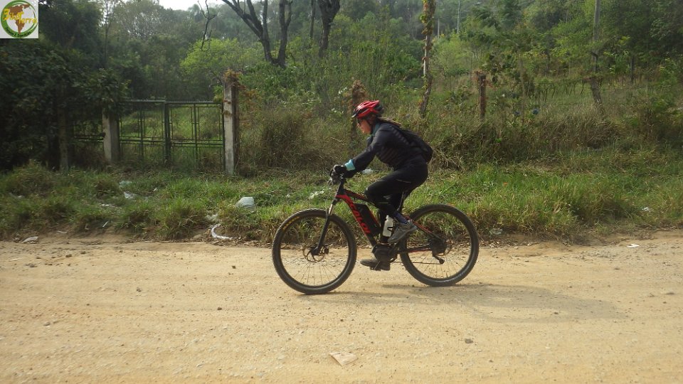 RIMG0982
