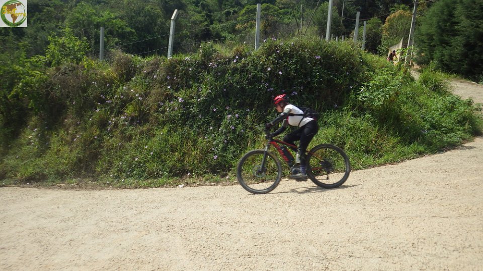 RIMG1109