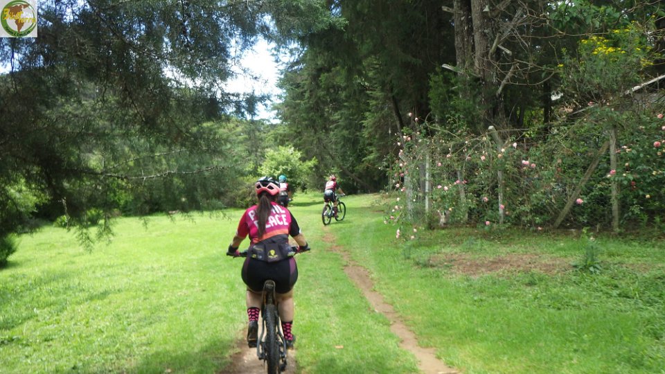 RIMG1201