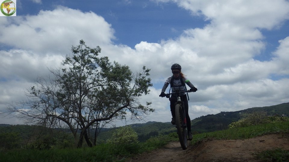 RIMG1386