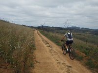 RIMG1333