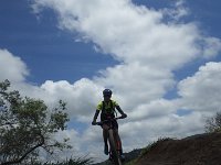 RIMG1390