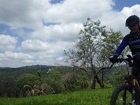 RIMG1392