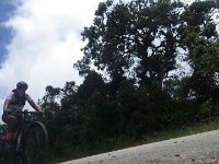 RIMG1768