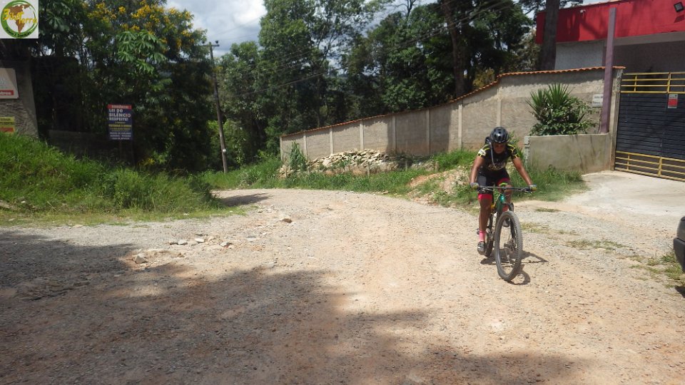 RIMG2011