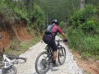 RIMG2073