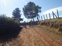 RIMG0243