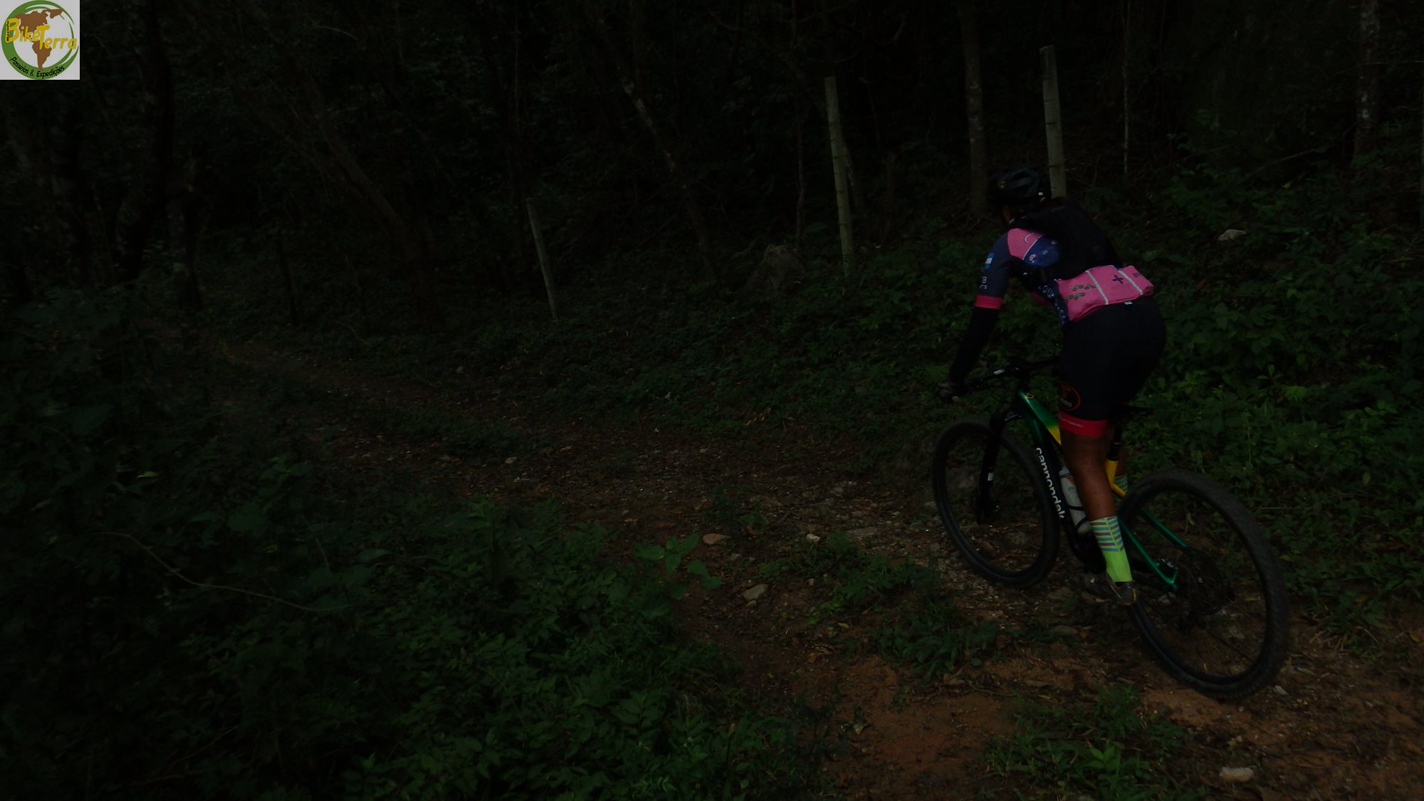 RIMG0286