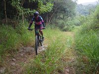RIMG0285