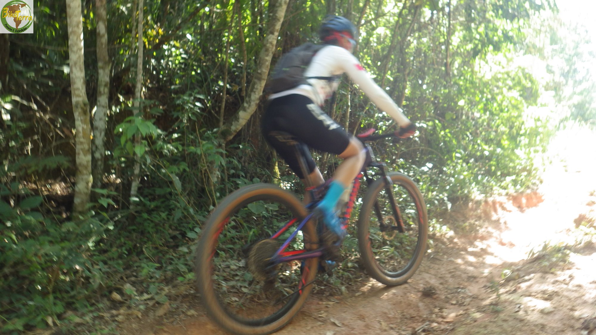 RIMG0319