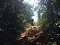 RIMG0318