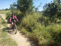 RIMG0325