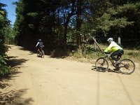 RIMG0344
