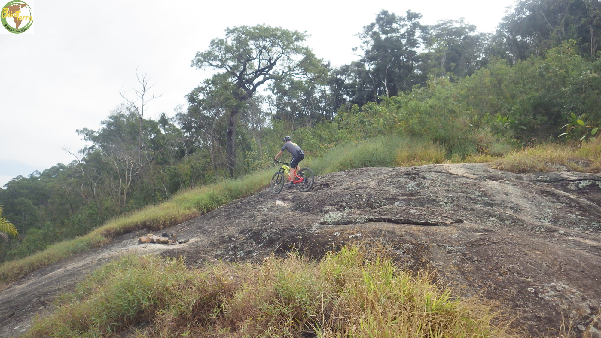 RIMG0384