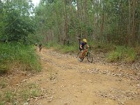 RIMG0383