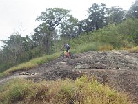 RIMG0384