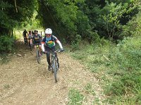 RIMG0392