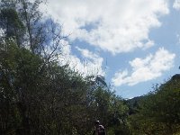 RIMG0516
