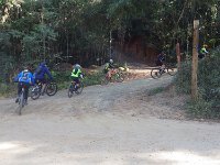 RIMG0538