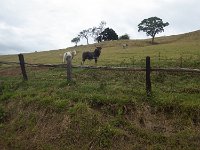 RIMG0041